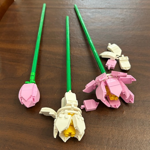 LEGO Botanical Collection, No Manual - Picture 3 of 3